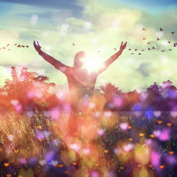 Learn to let go. That is the key to happiness